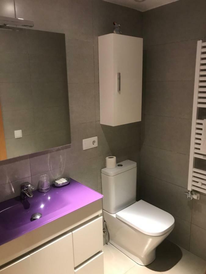 Apartaments Ca L'Albert Pobla de Segur Ngoại thất bức ảnh